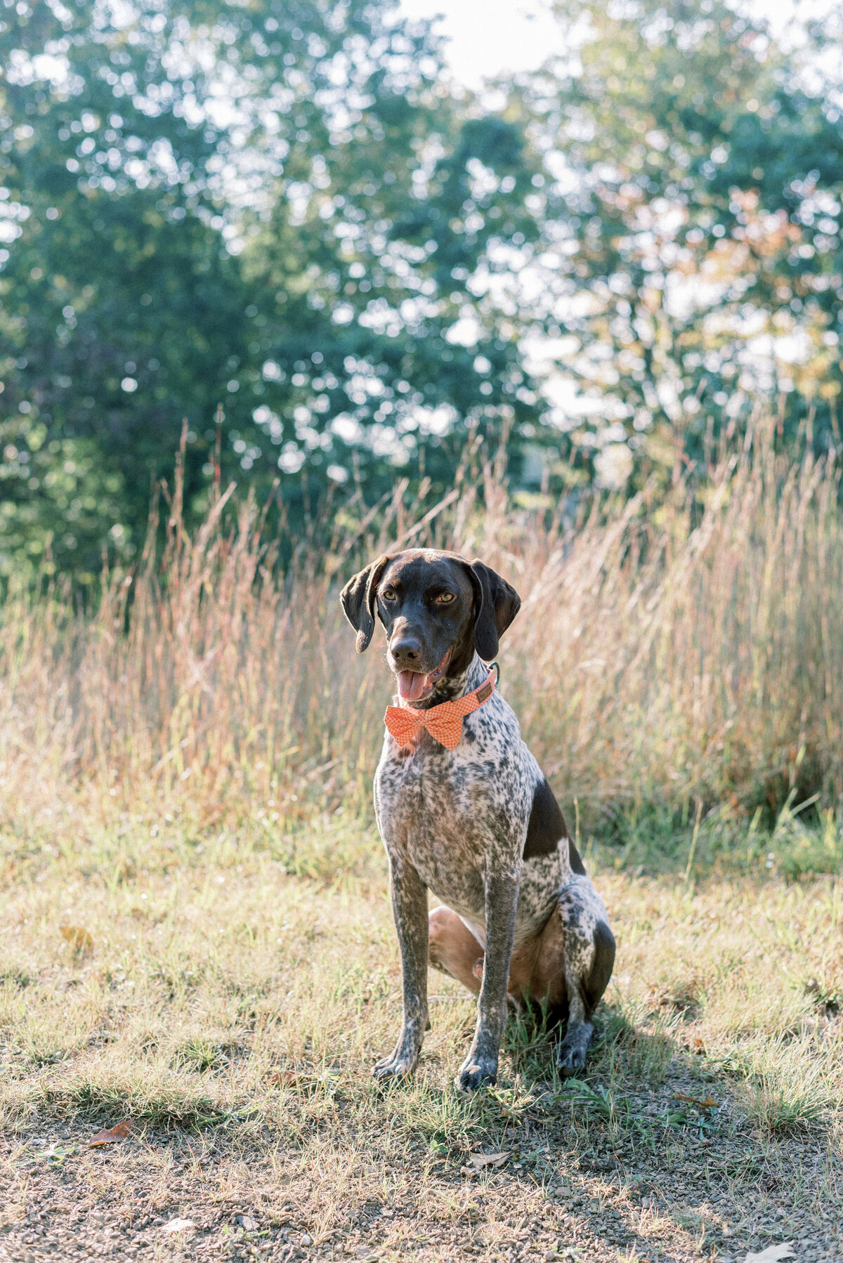 Meghan Elizabeth Photography13