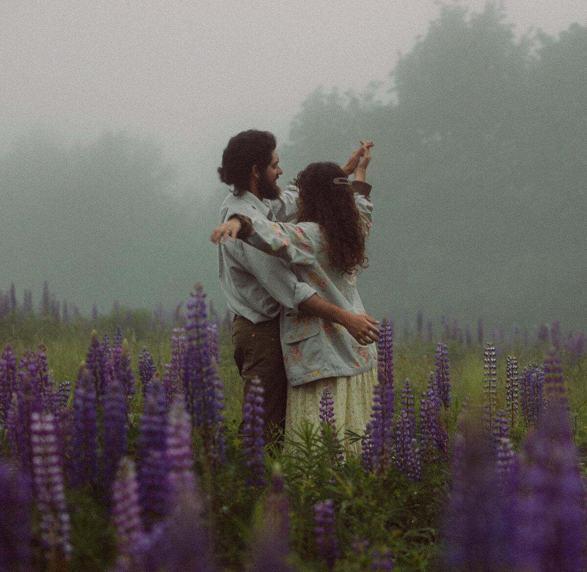 Viewing Lupines in Maine