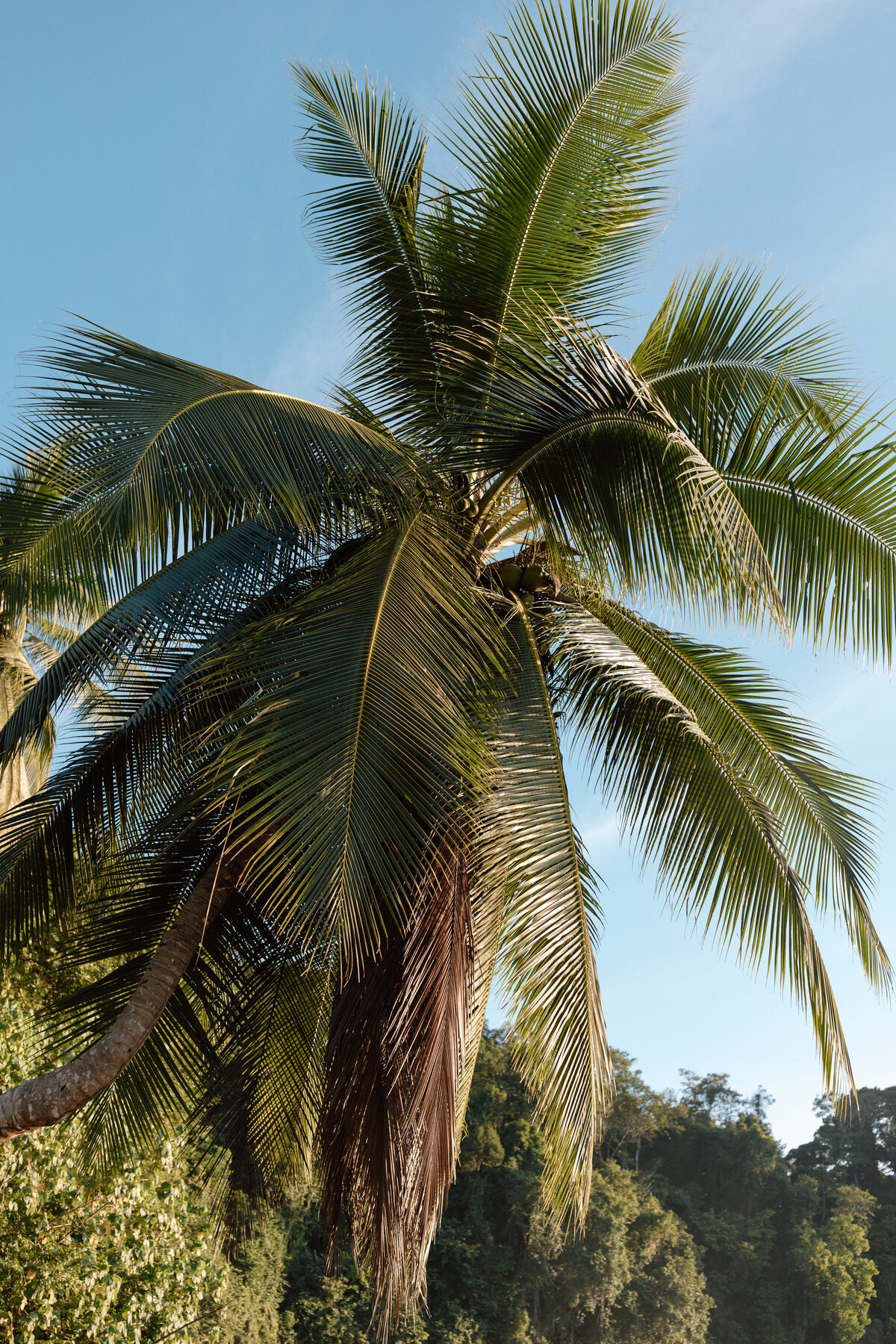 Costa Rica couples beach session-6