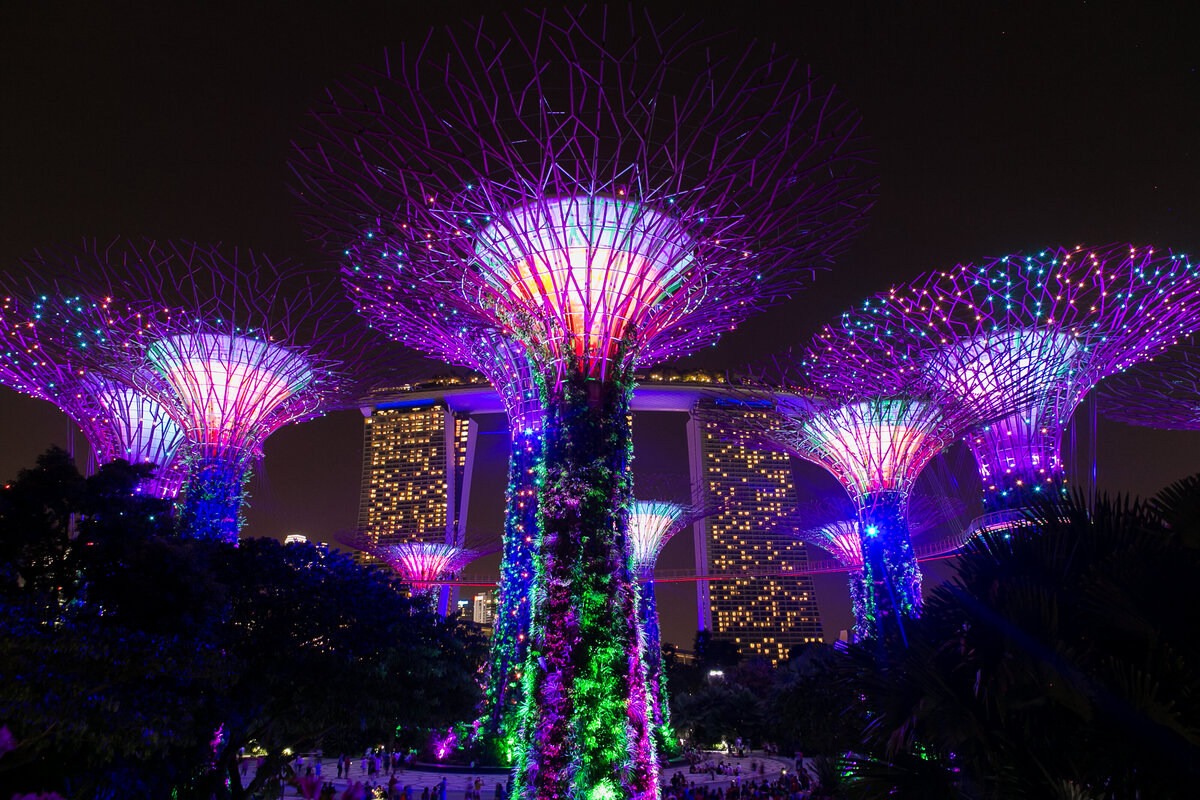 2017July-Singapore-0261