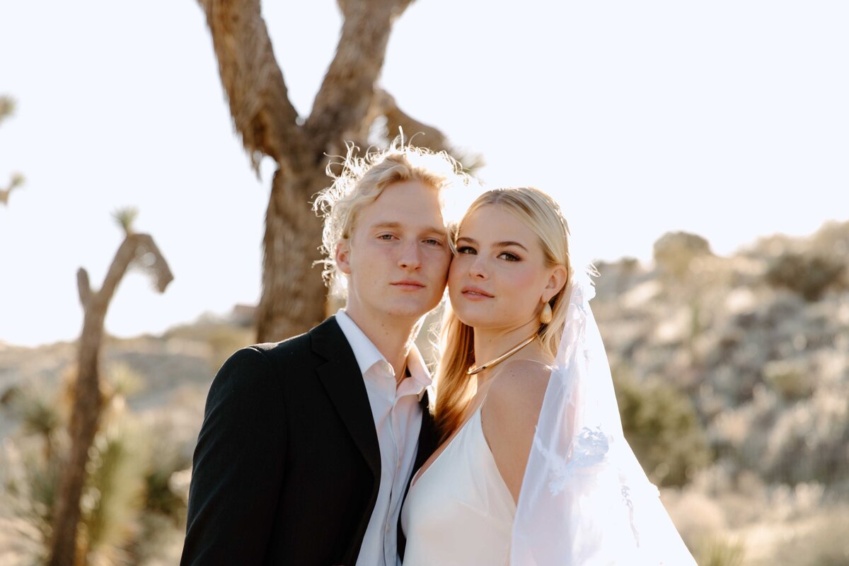 Elegant-Joshua-Tree-Elopement_0735