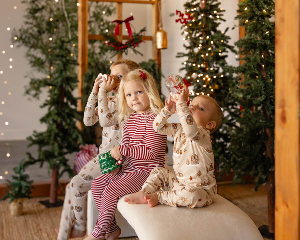 2024 holiday photos111proofs
