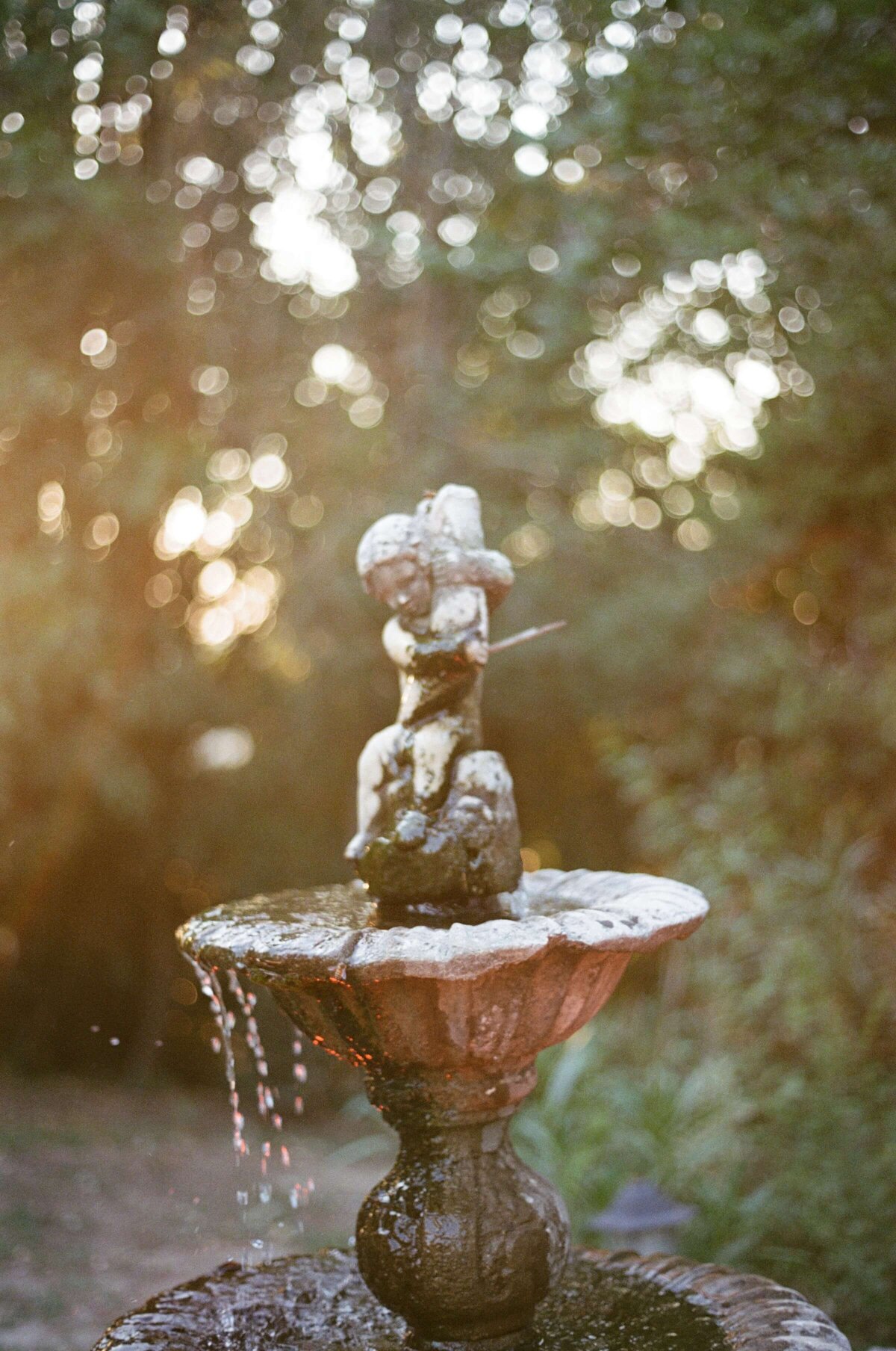 A wedding photo of a water fountain at laticastelli in Tuscany Italy