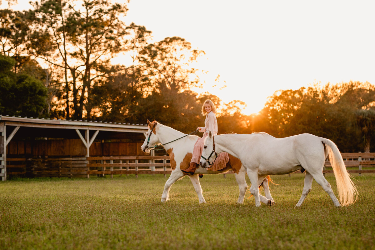 Professional equine photographer in Fort Myers.