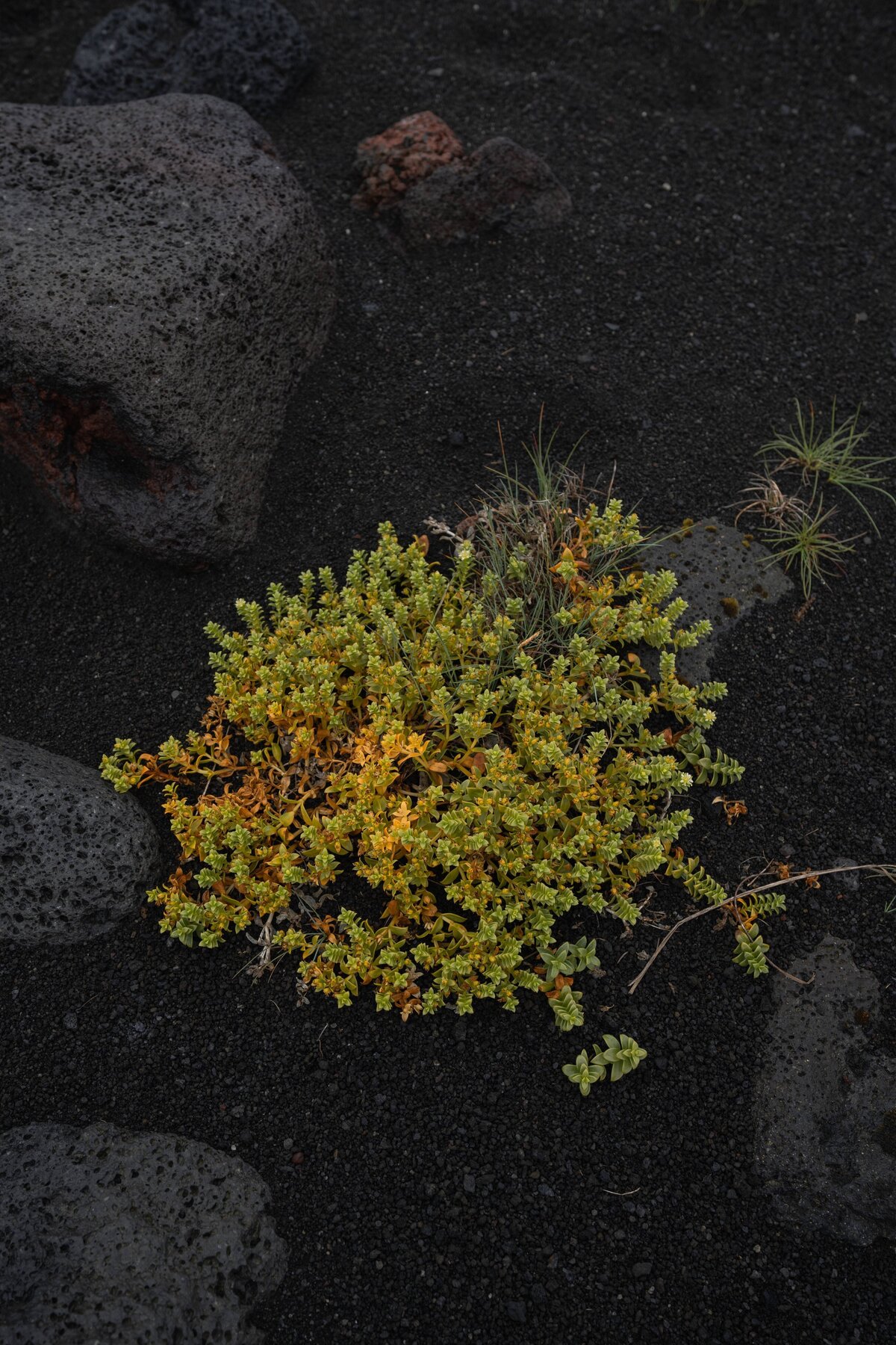 2023-08-17_ICELAND_0539
