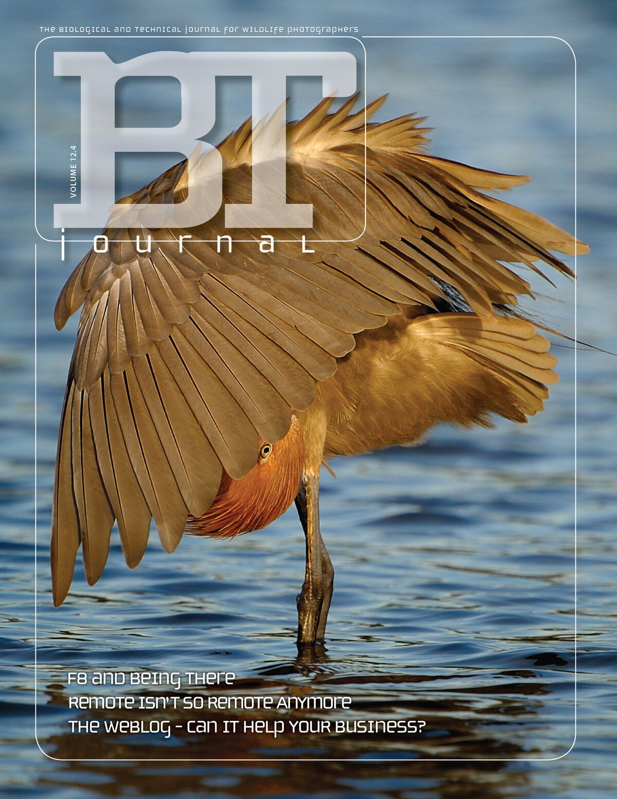 BTJ_Issue3 Cover