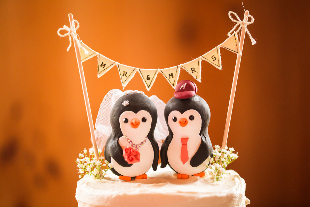 Penguin Alabama Crimson Tide Cake Topper by Florida wedding photographer Michelle coombs photography