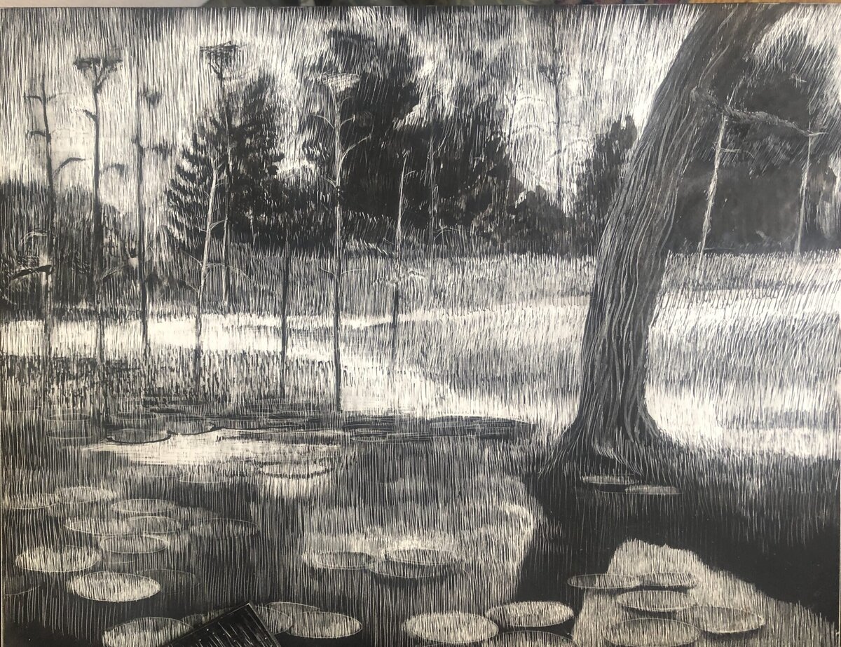 Heron Rookery II. NH