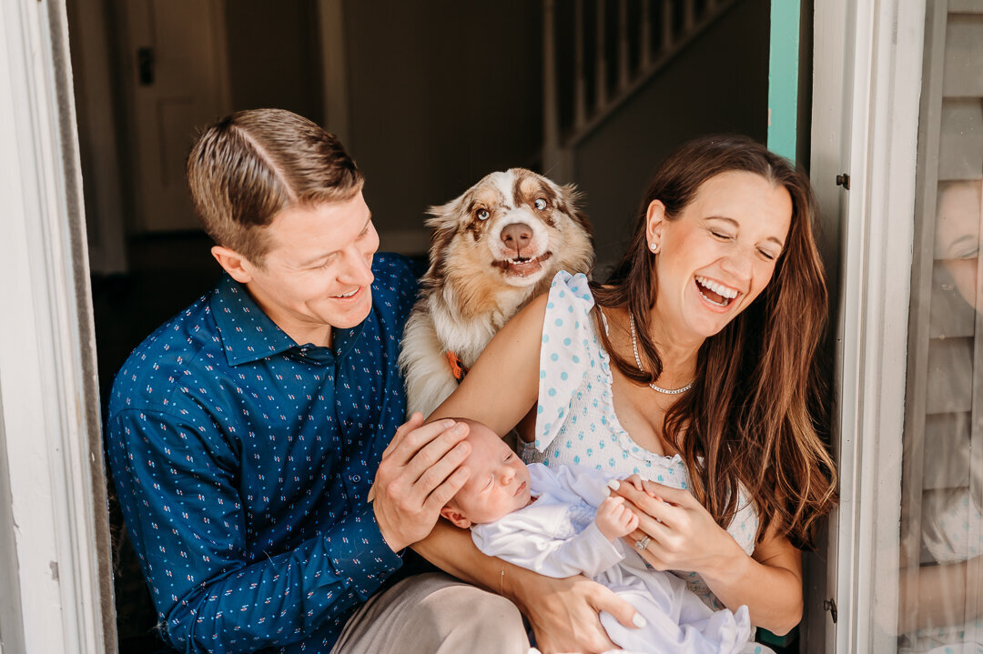 newborn family photos with pets