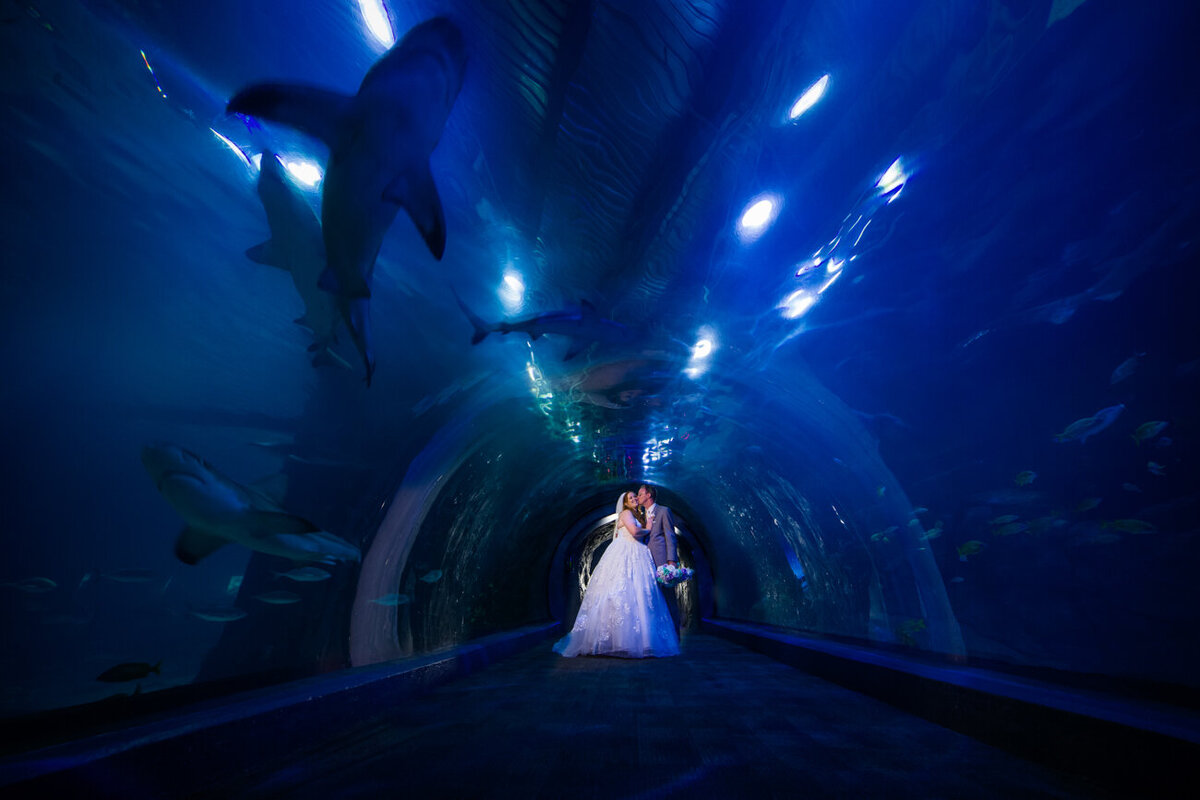 FoxBrazen_DillardWedding_2711aSocial