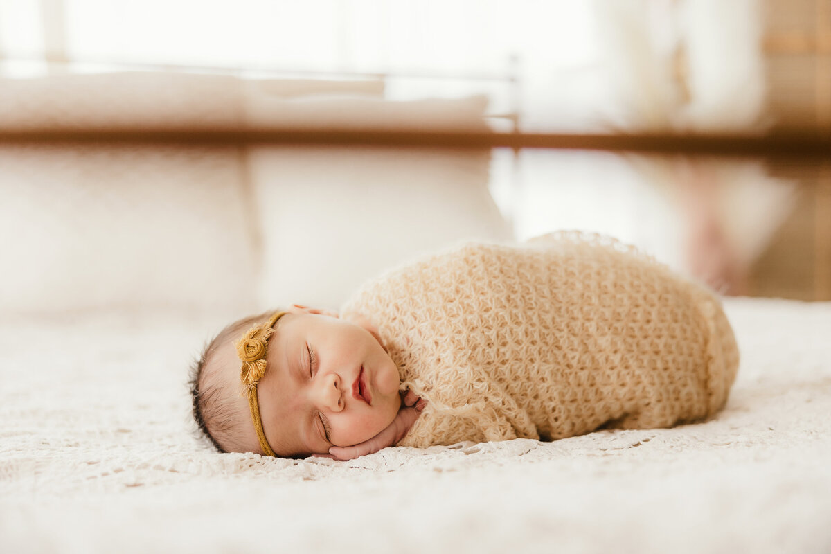 Akron Ohio Newborn Photographer