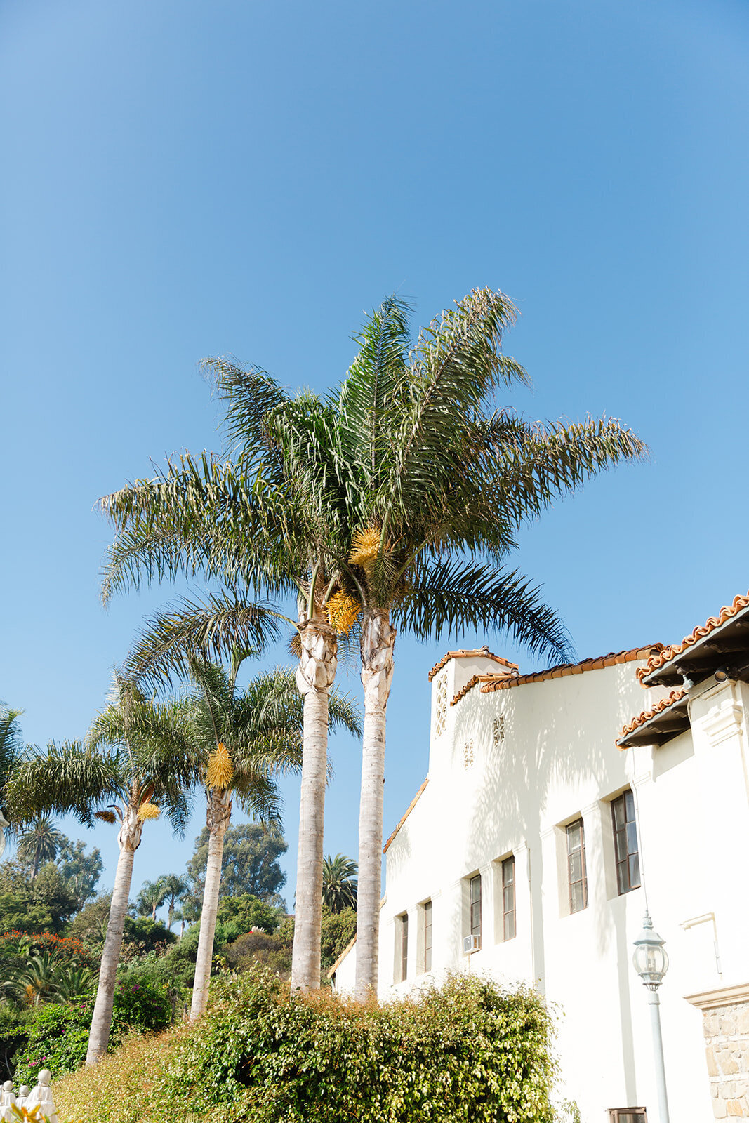 Brookeboroughphotography_ChrisandLaurenCrump-8834