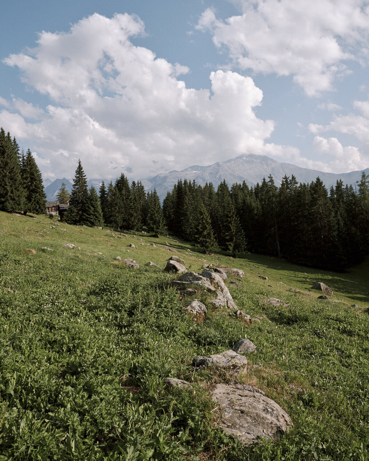 Switzerland-wedding-photography_01