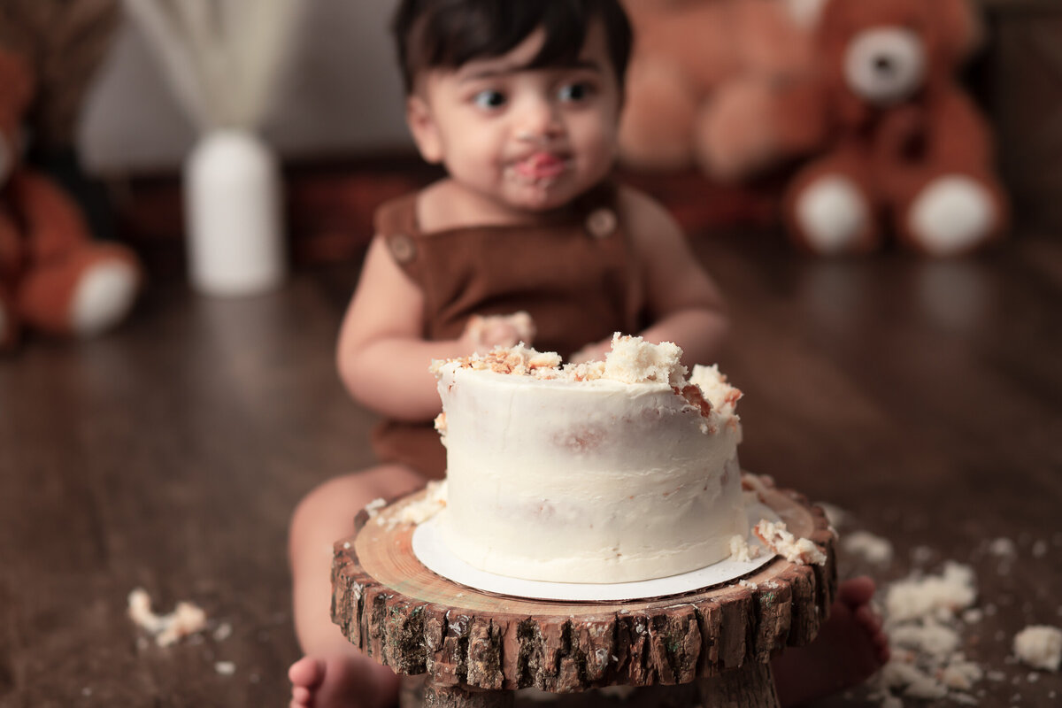 Columbus-Ohio-Cake-Smash-Photographer-32