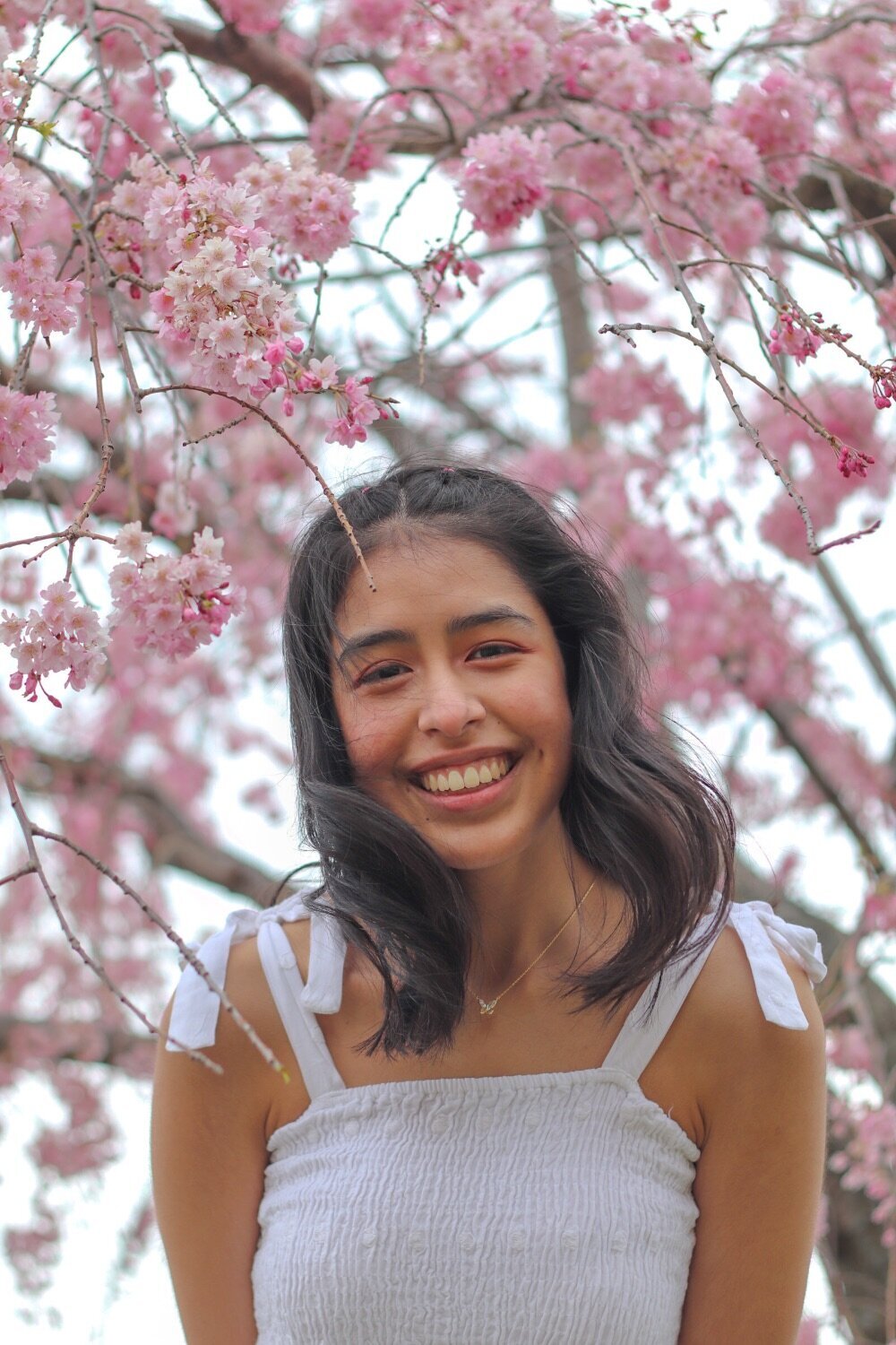 Canvas Portrait - Portfolio 6
