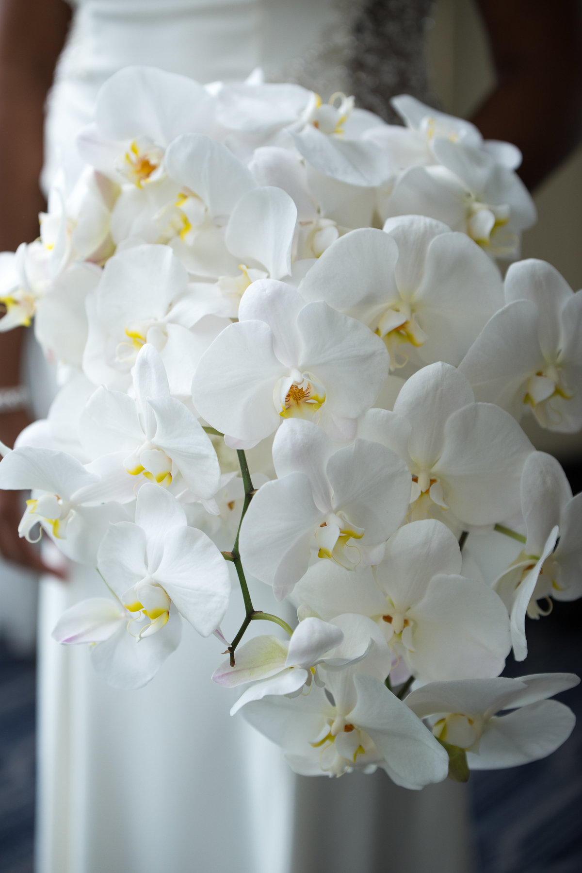 NFL Miami Dolphins Brandon Radcliff ShaKyra Radcliff Briza on the Bay Wedding Andrea Arostegui Photography-46