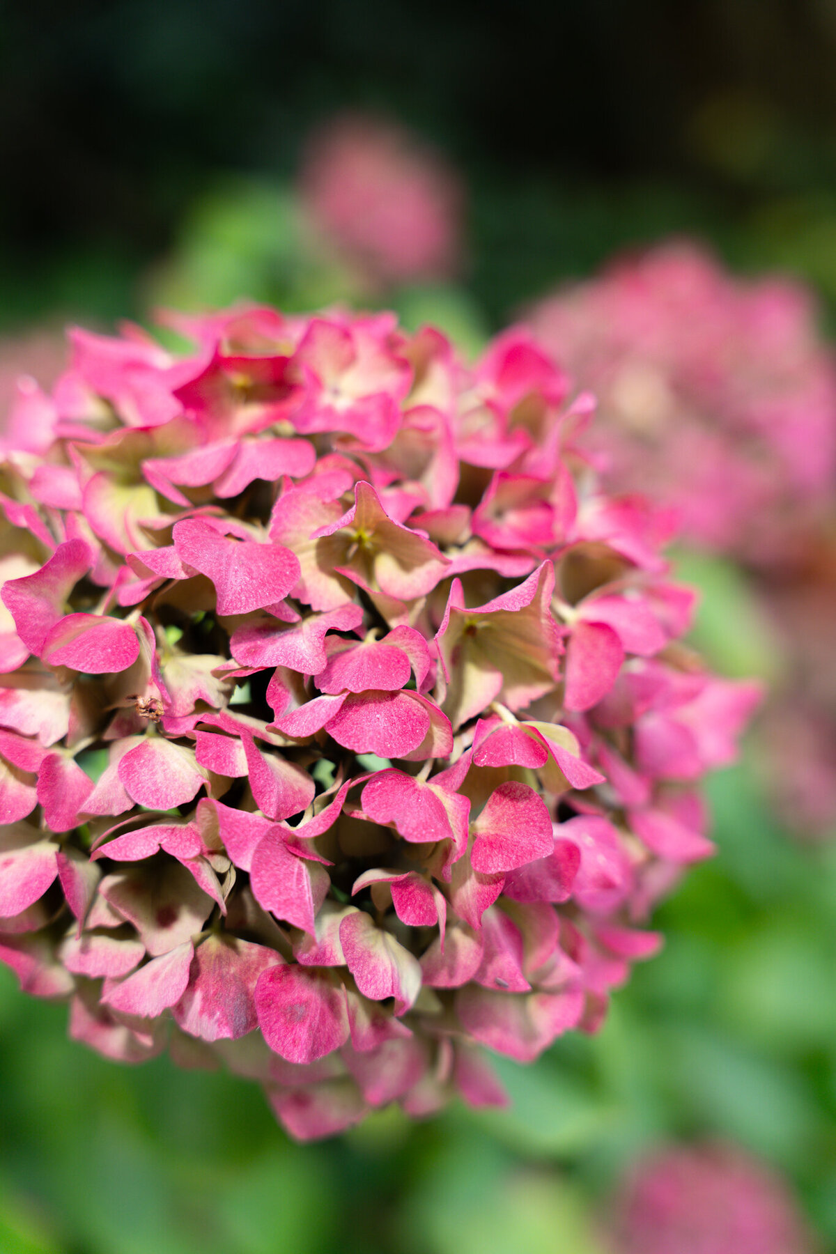 TGS Conciergerie-120