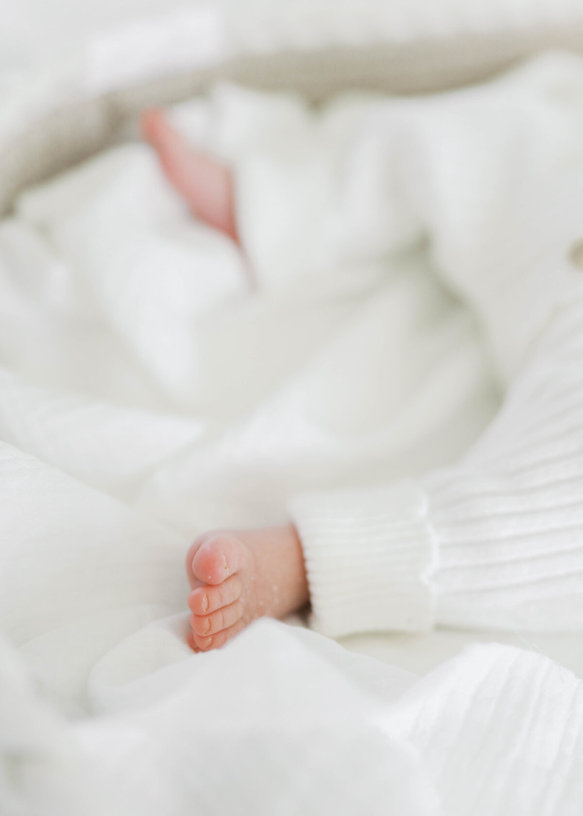 Baby toes in Virginia Beach Newborn session