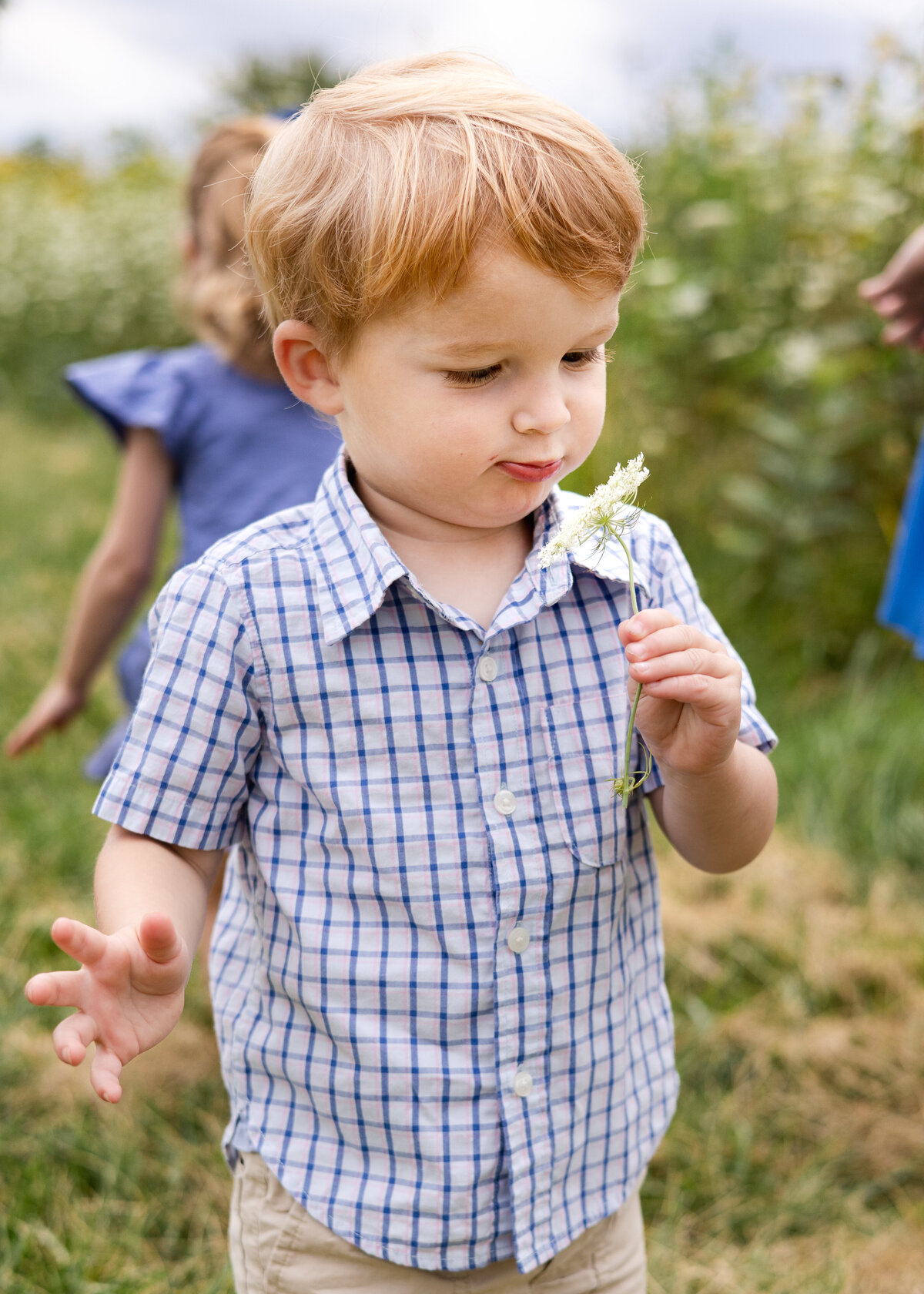 Boy Playing and Smelling the Flowers