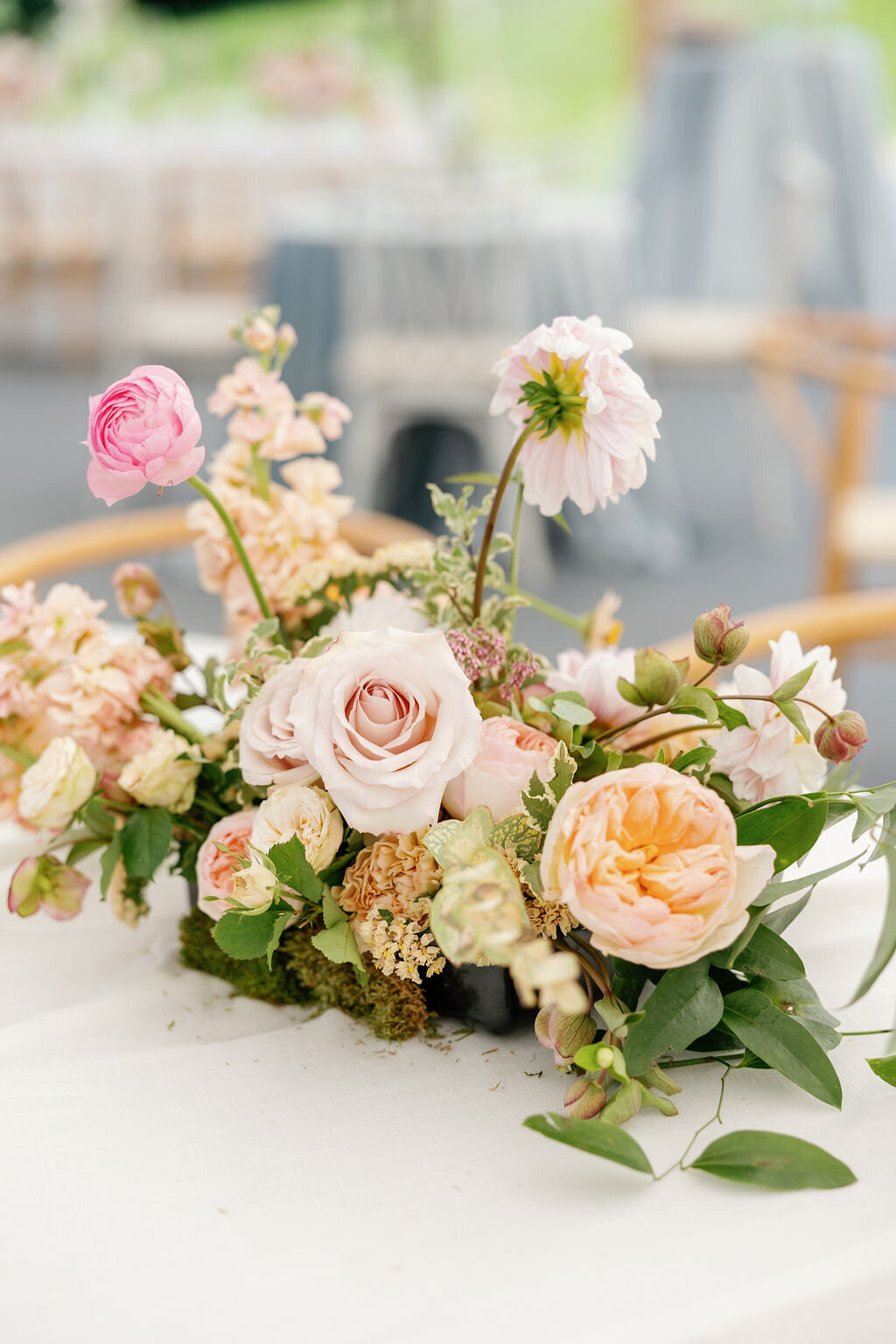 mackenziekatephoto-763