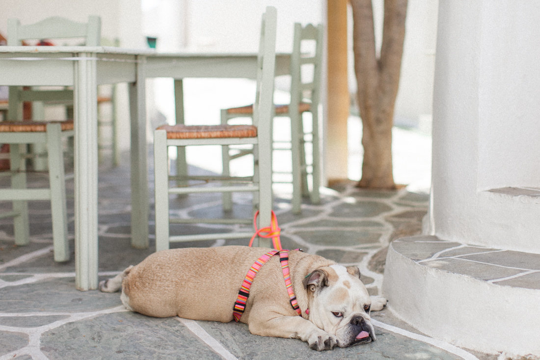 folegandros-photographer-roberta-facchini-photography-9