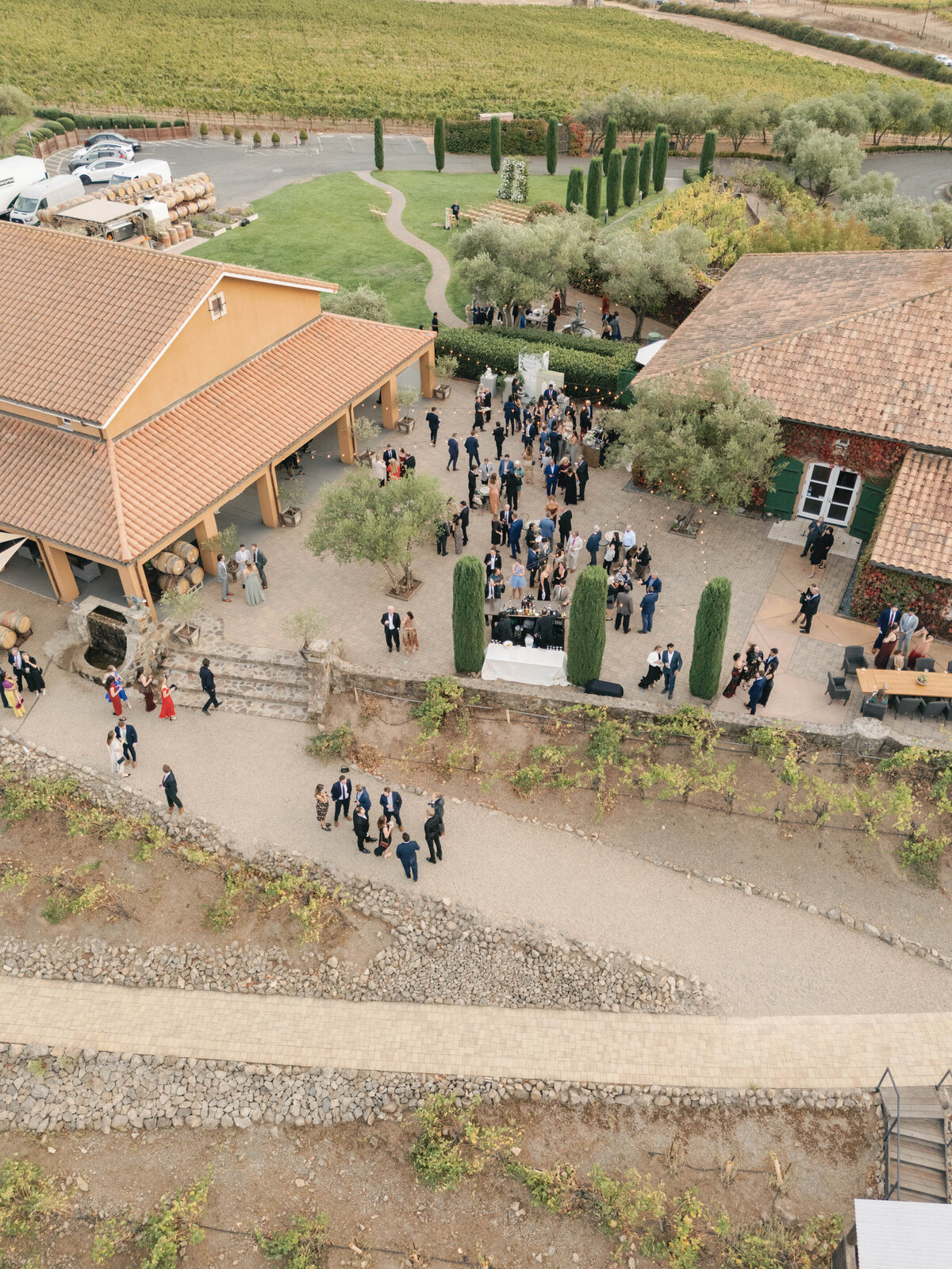 Viansa-Sonoma-Wedding-72