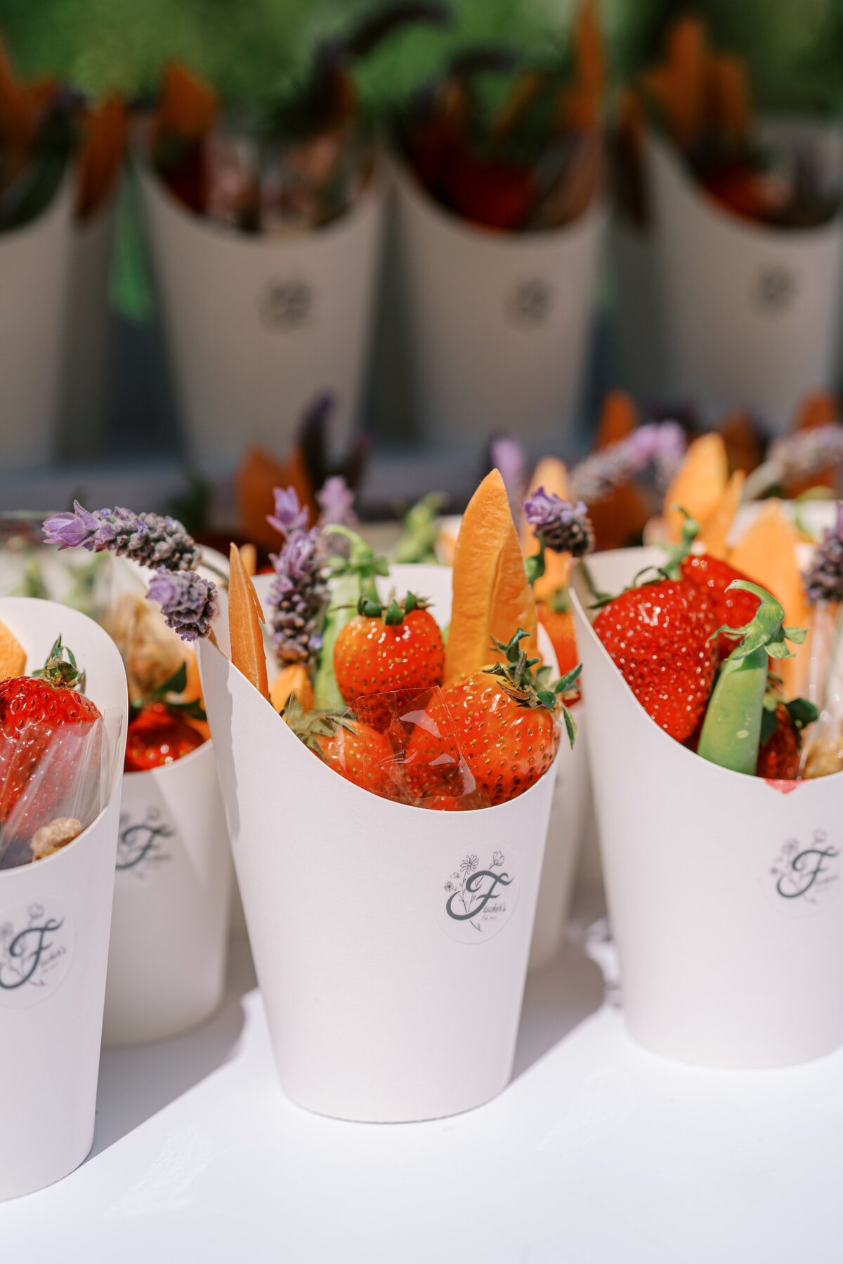 Rachelle Nic Wedding-0040