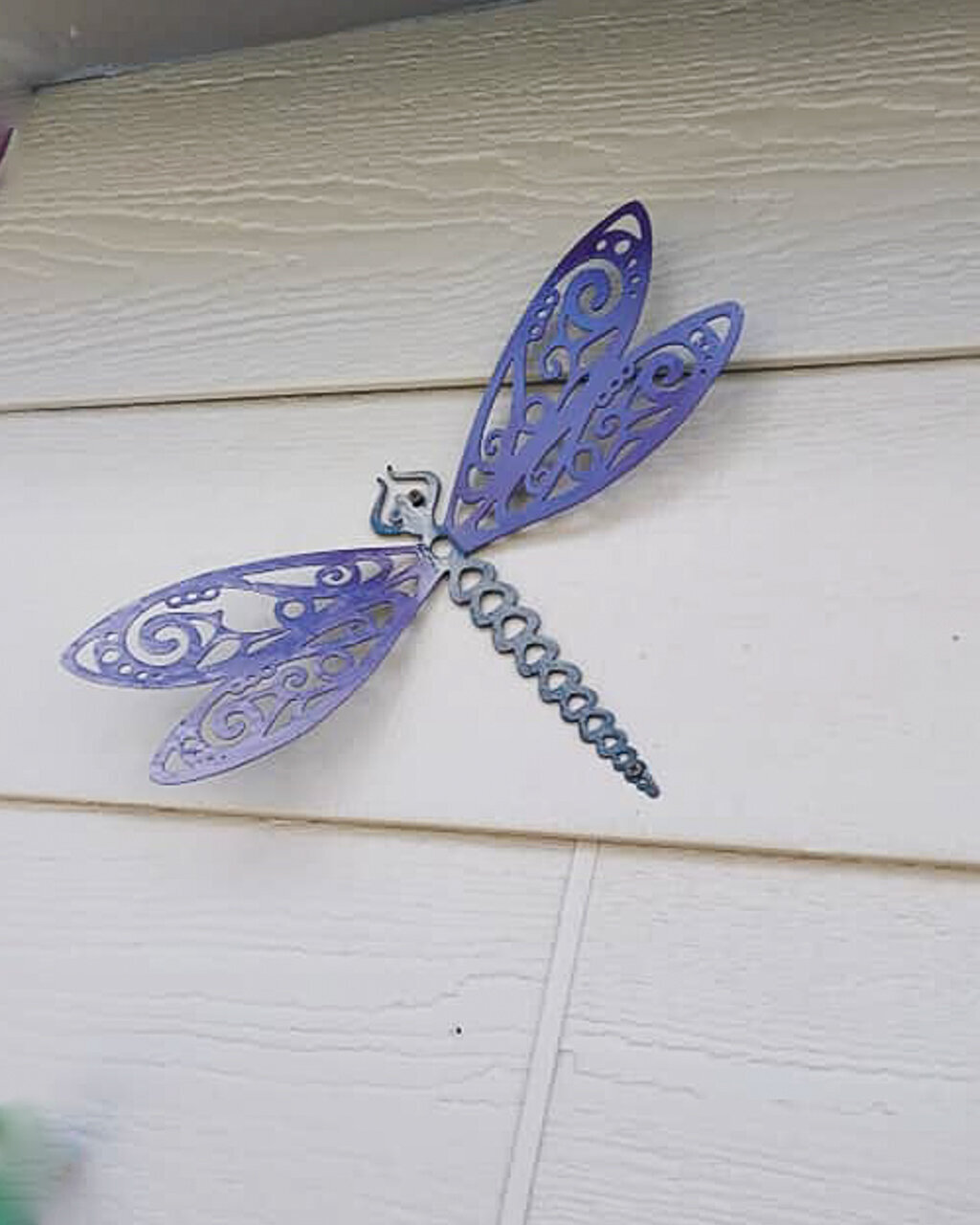 Dragonfly_edited
