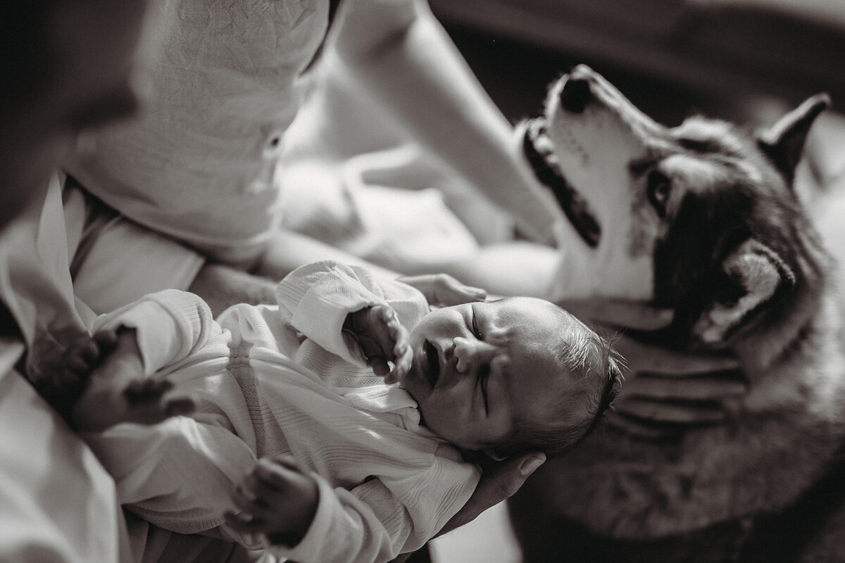 24.05.07 Colby - B&W at home newborn session-35