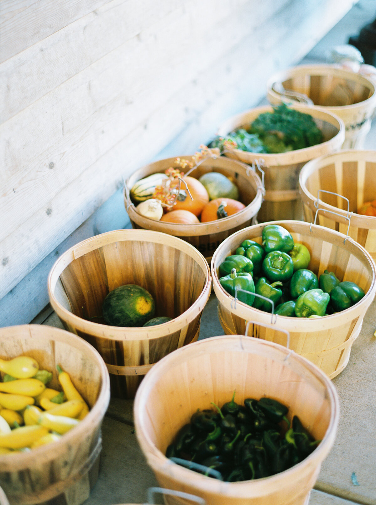 Fresh-Greens_Social-Squares_Styled-Stock_01312