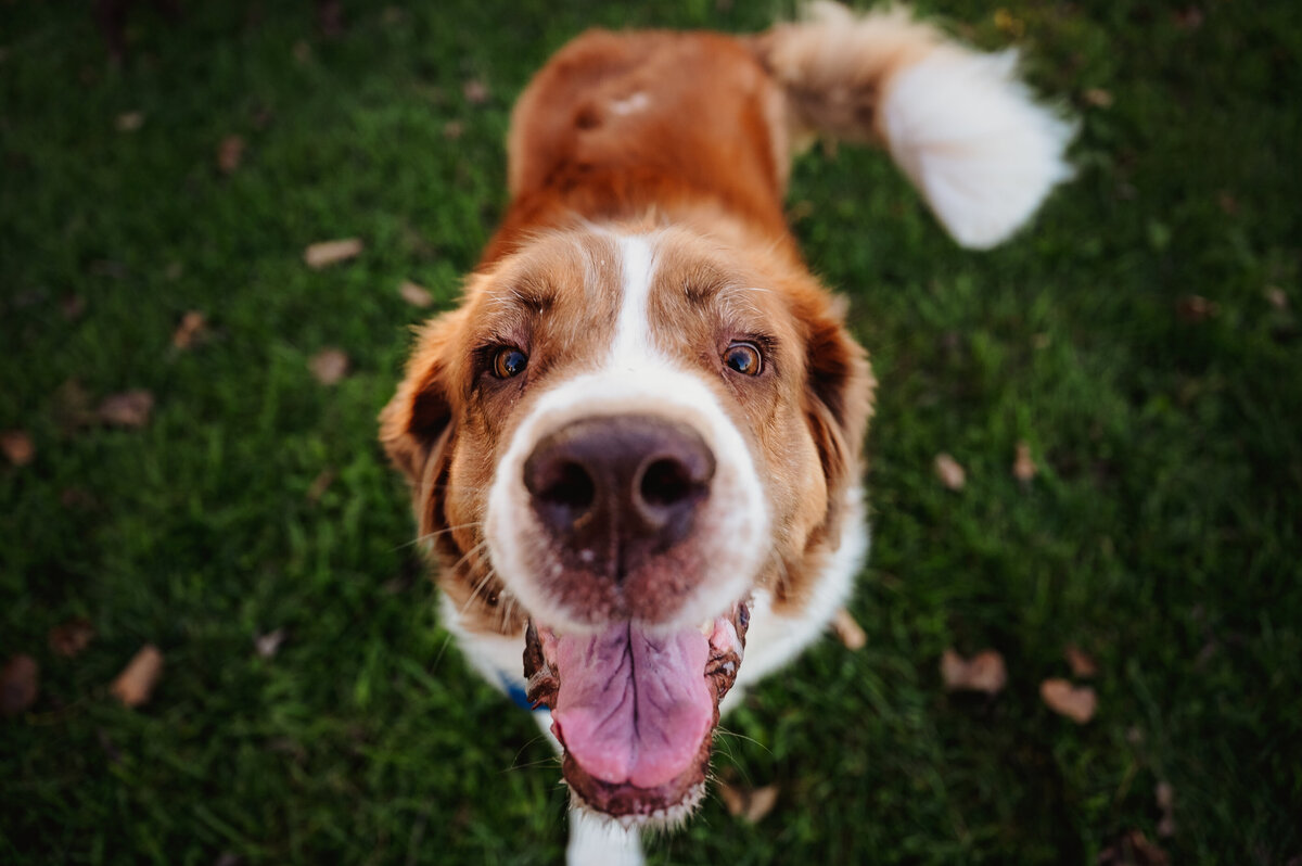 NicoleS_Fall2025_015