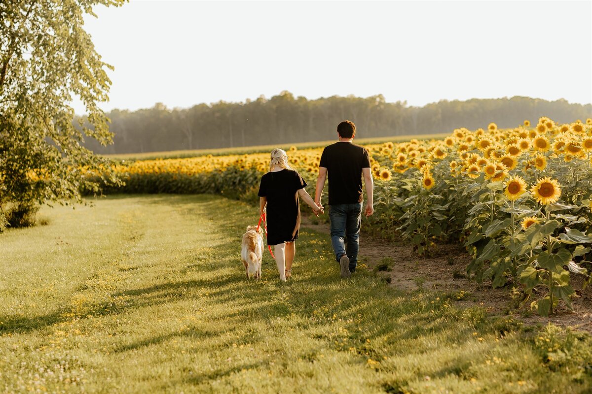 Yvette_Branden_Addy_Sunflower-106