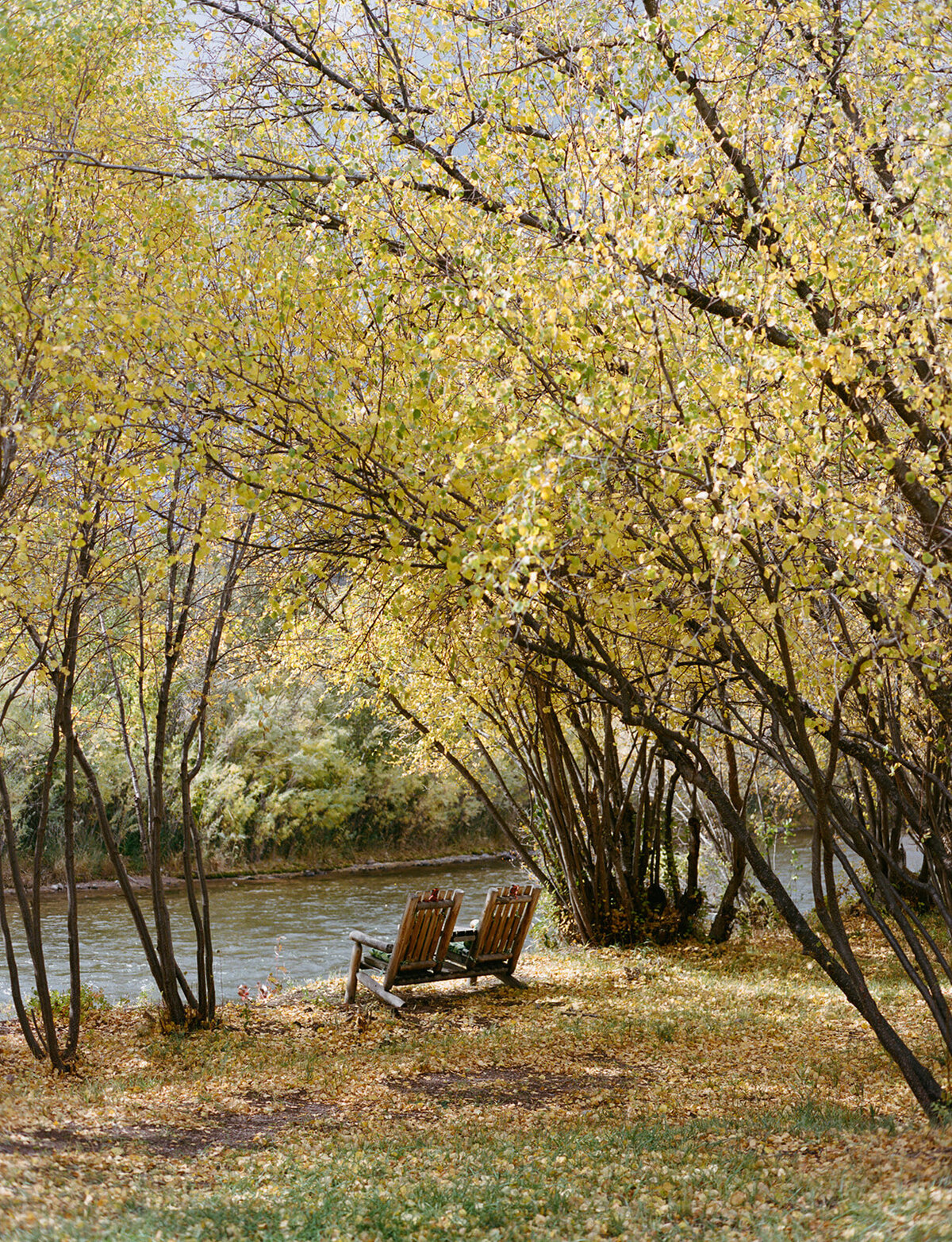 Lauren & Seth_Film Preview-12