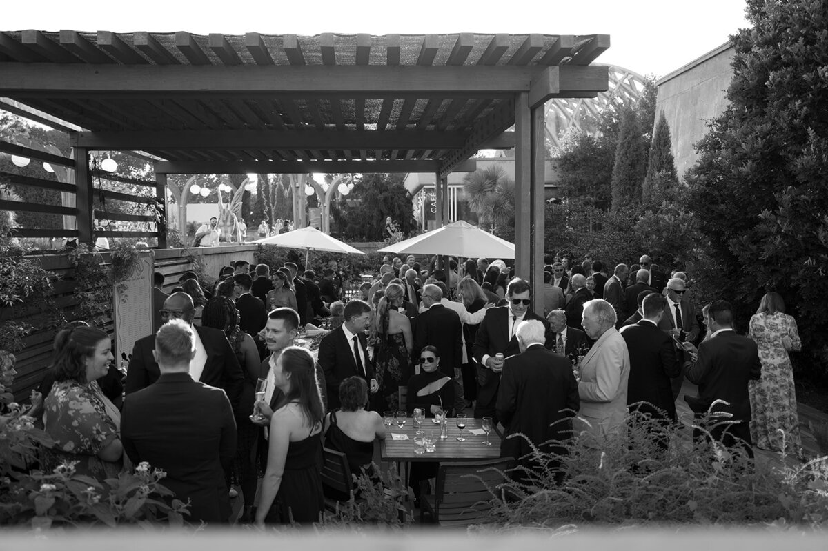 Schommer-Cocktail-Hour-Kelli-Christine-Photo-154_websize