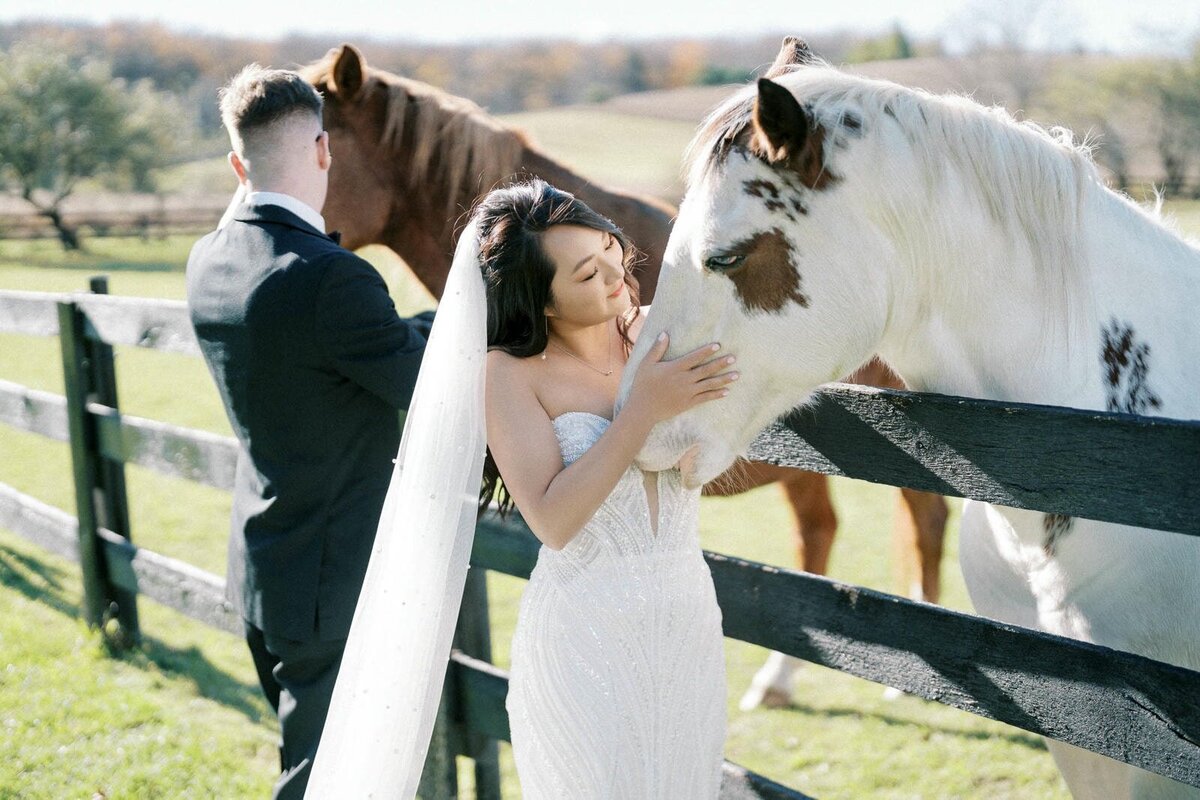 W11-Wedding-Photos-Caledon-Valley-Estate-Eleanor-and-Michael-2024-11-02-2500px-1100