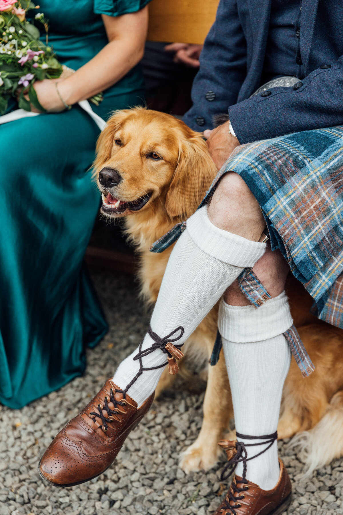 Dog at Wedding ceremony at The Free Company
