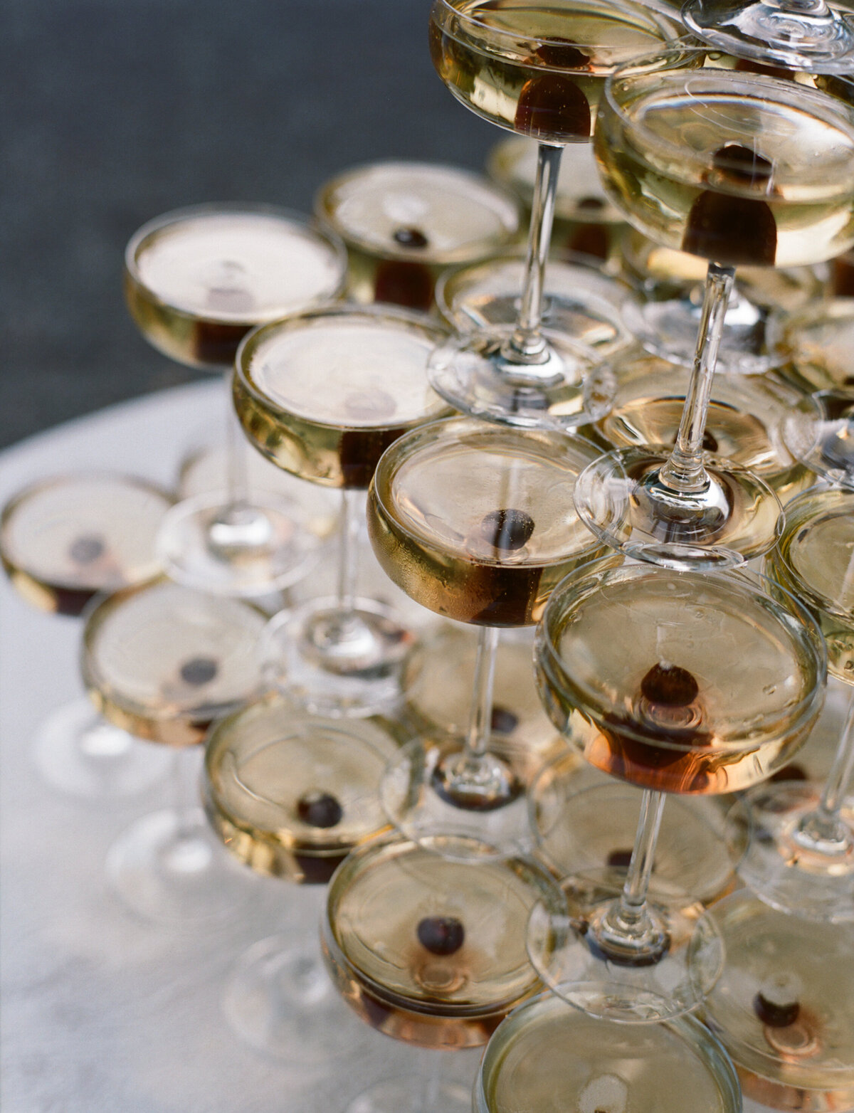 beaulieu-garden-wedding-reception-kristine-herman-photography-92
