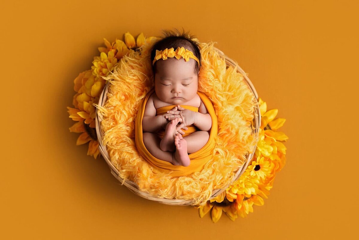 mobile-in-home-newborn-photography-vancouver-fraser-valley_baby-girl-yellow-sunflower-basket-wrap
