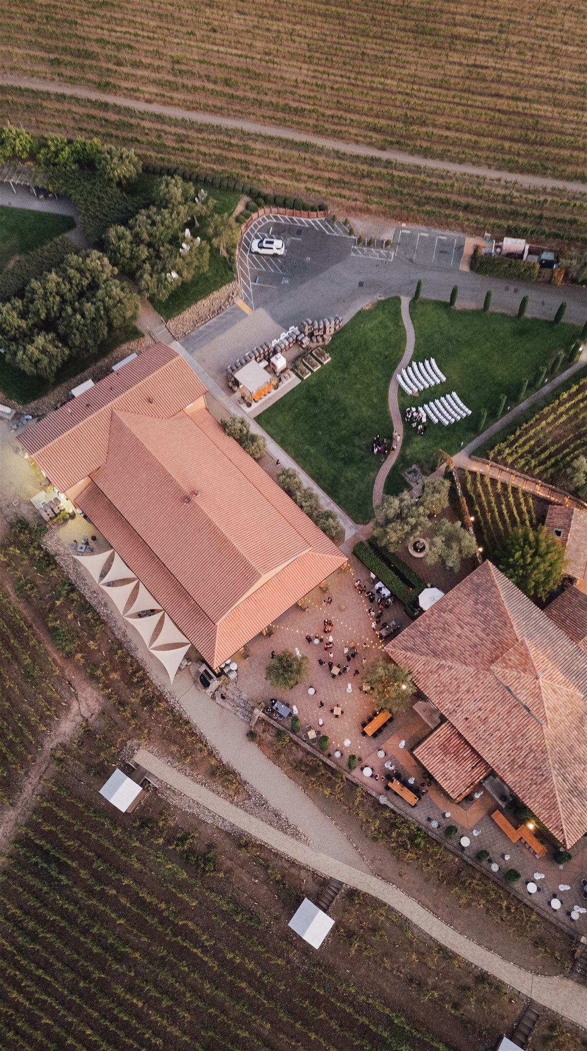 viansa-sonoma-wedding-annie-ben-ashley-carlascio-photography-0850