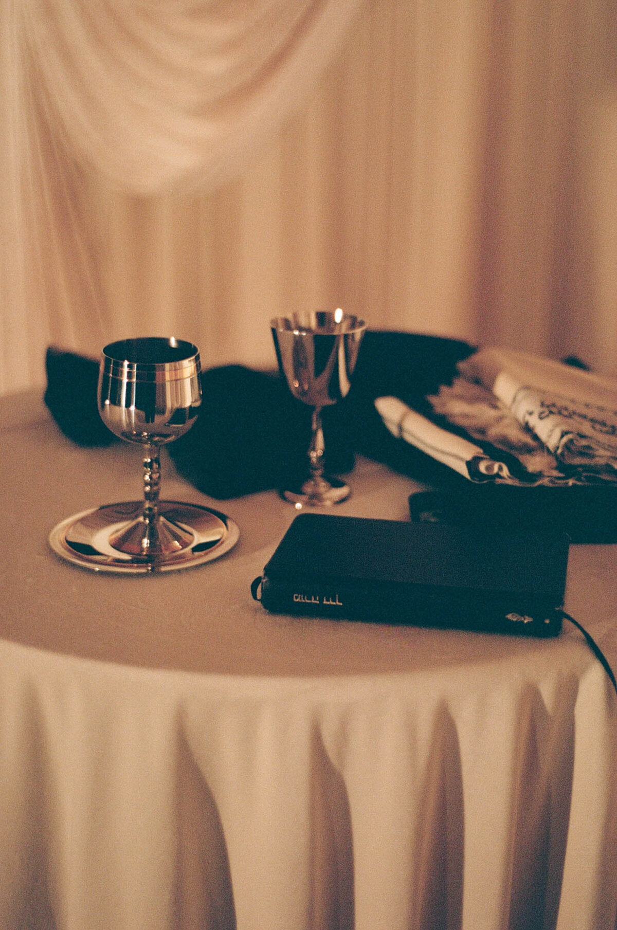 515-Royal-Ontario-Museum-ROM-Toronto-Canada-Gill-Jory-Wedding-27