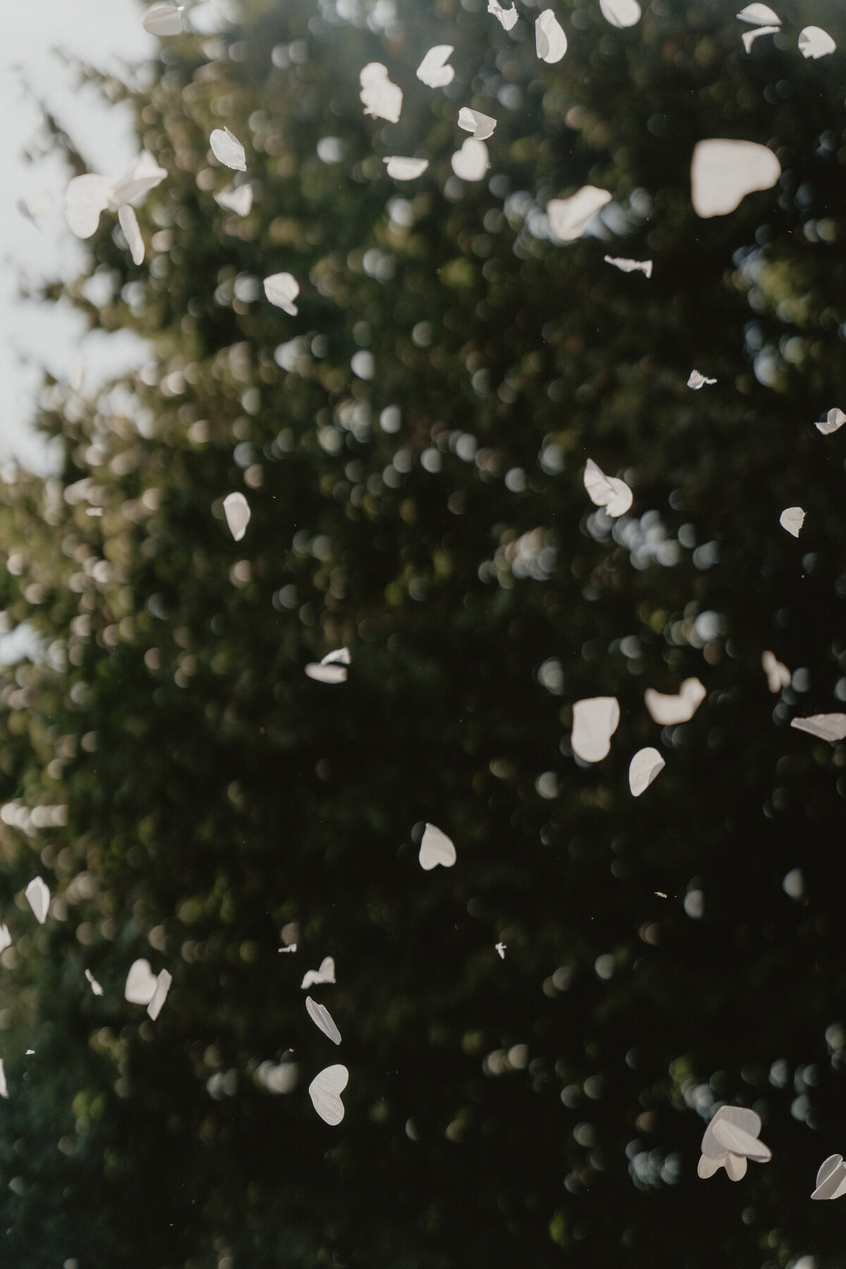 elainemarie_johannagustav_sneakpeek-72