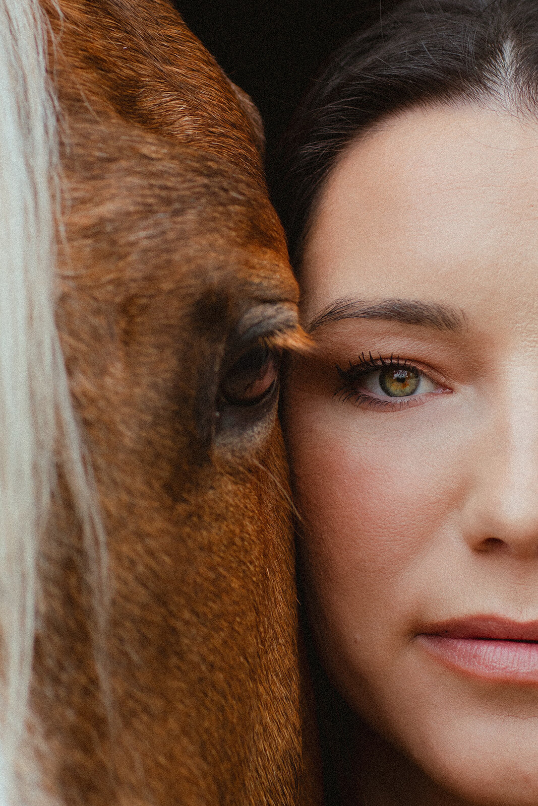 horse-rider-female-closeup-faces