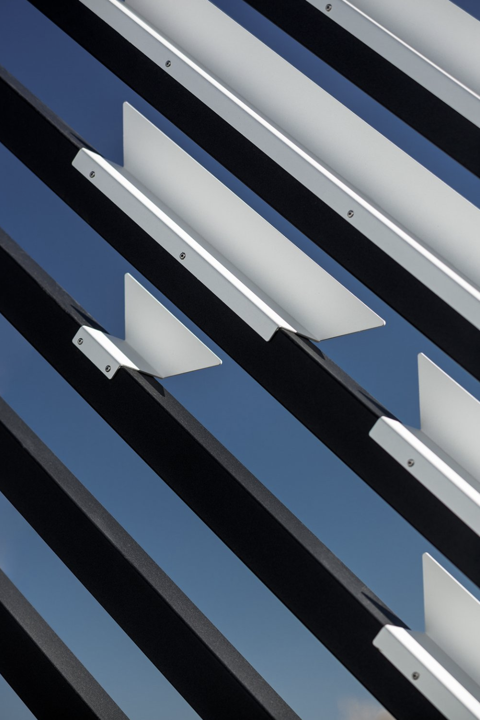 Screenshot 2023-02-01 at 10.10.56 AM