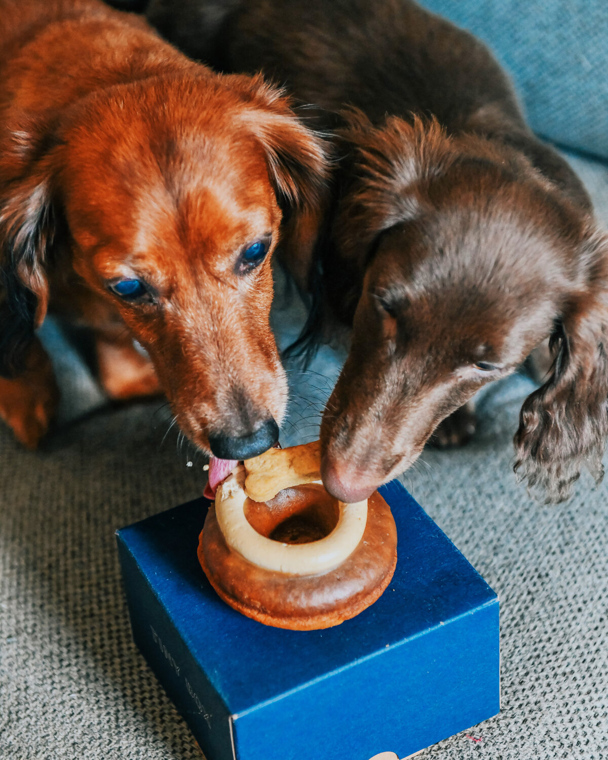 5fe8dc669332b784a6aade0e_E23E695A-808D-454C-BF1E-98B5F12FC1C5