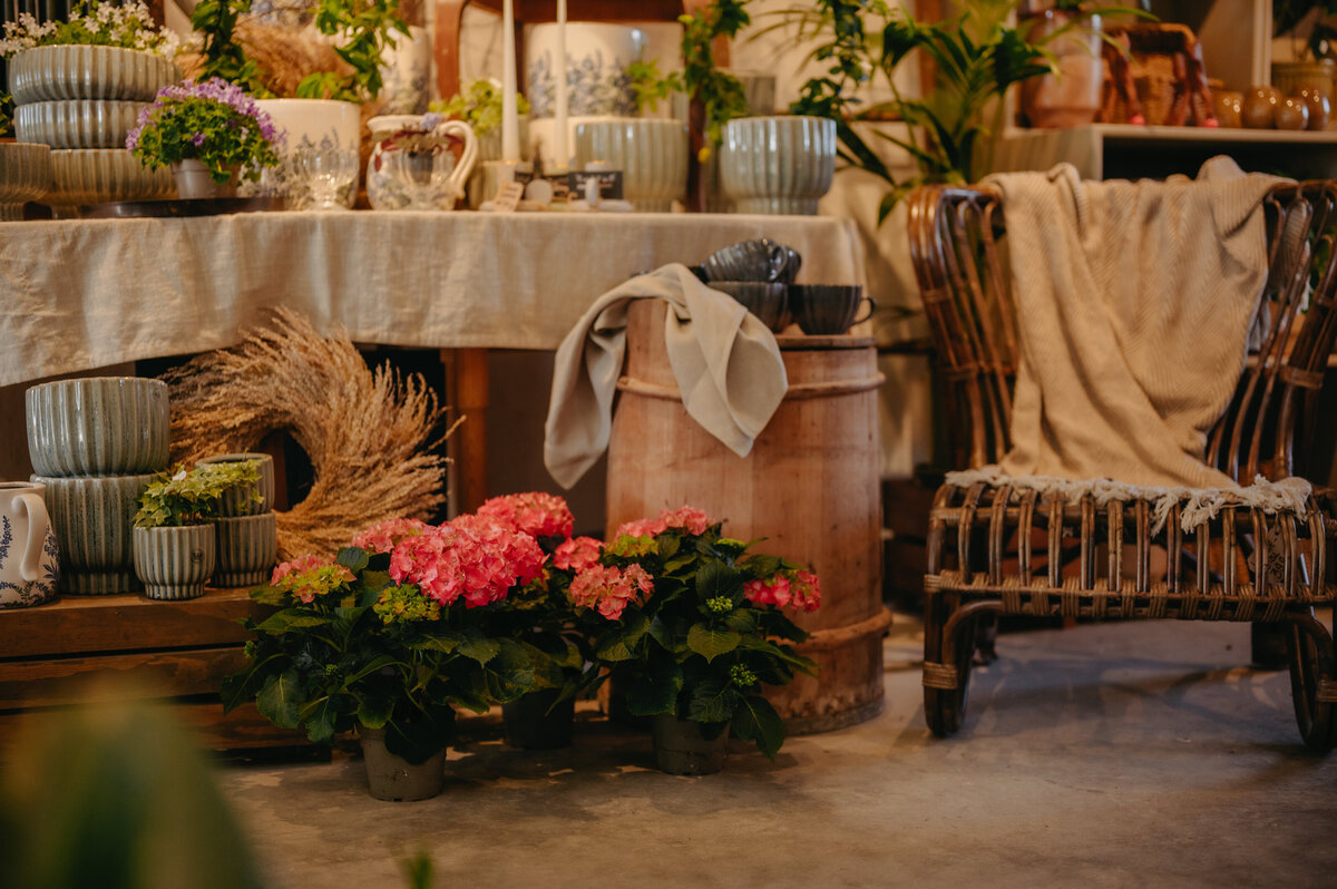 foretagsfotografering_tierpskommun_uppland_uppsalalan_miljobilder_portratt