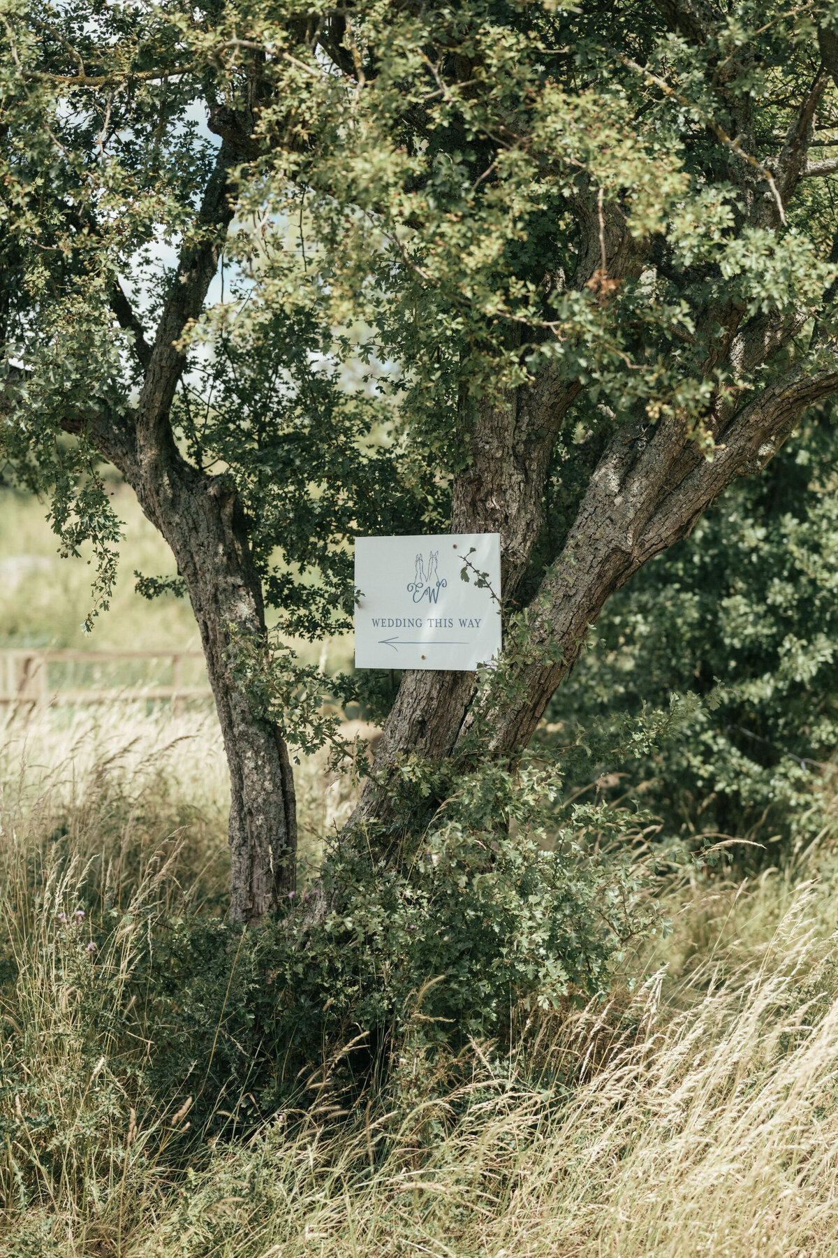 Eve_Will_Wedding_Highlights-1