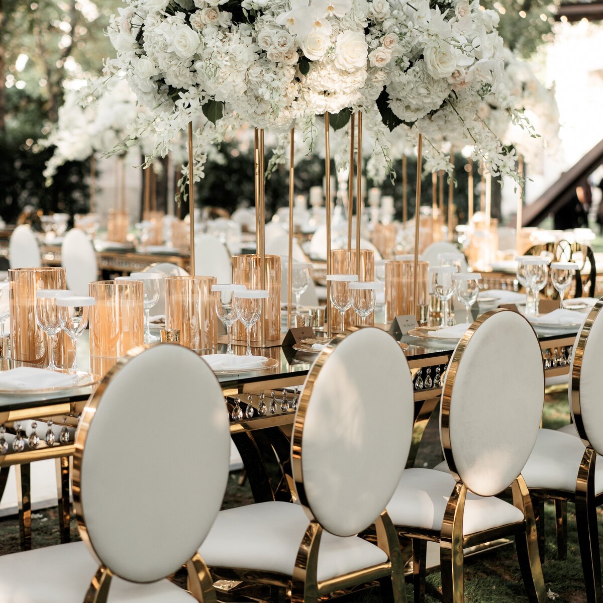 Sneak Peek - Shawn  Nasim-152-DSC02366 (2)