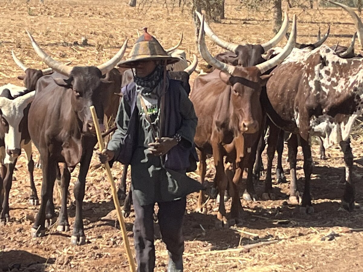 Niger 5