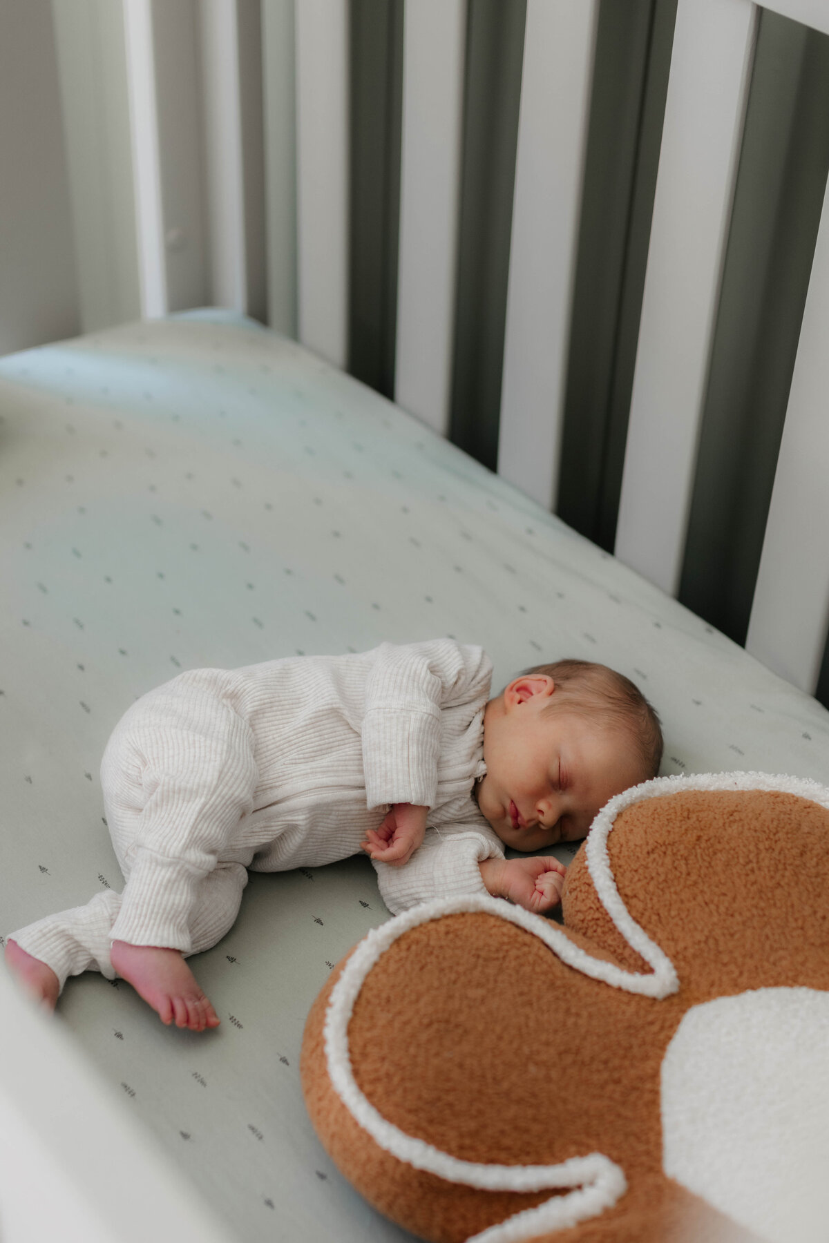 newborn photography cairns