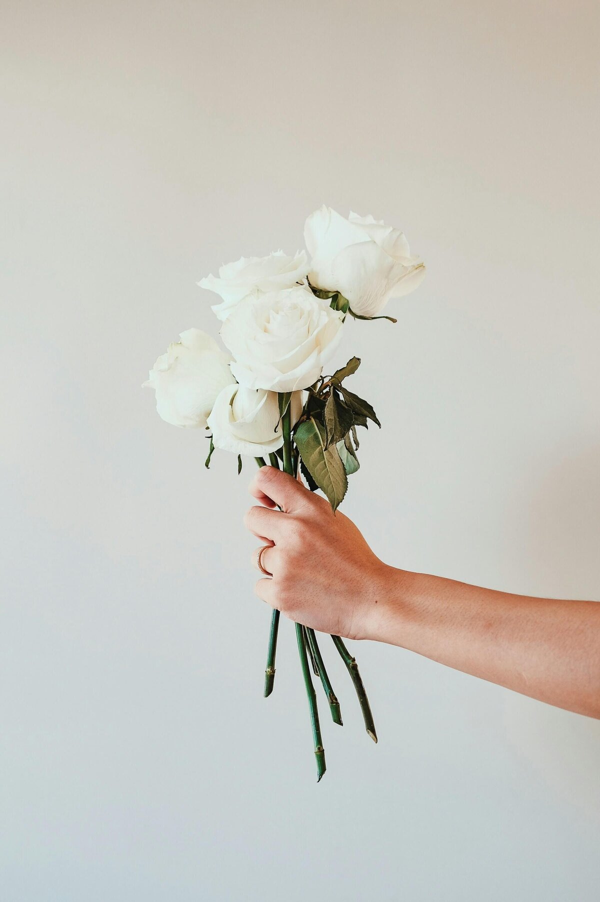 laurice-manaligod-ovdi1CHl_fc-unsplash